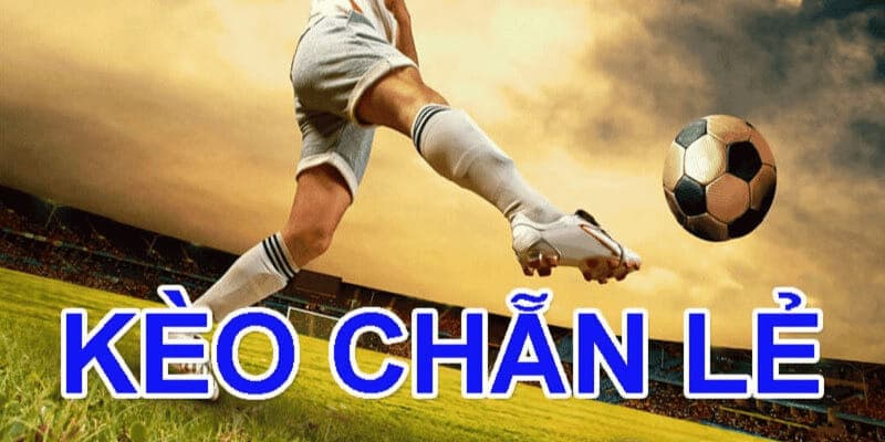 Kèo chẵn lẻ tìm hiểu đôi nét