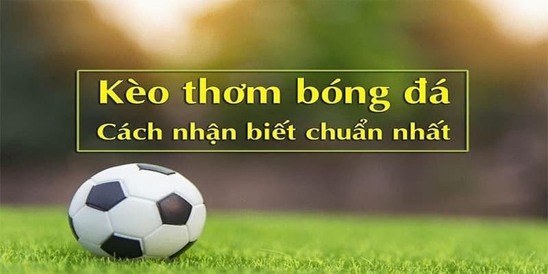 Kèo thơm dấu hiệu nhận biết