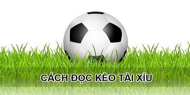 Soi kèo tài xỉu các yếu tố cần phân tích